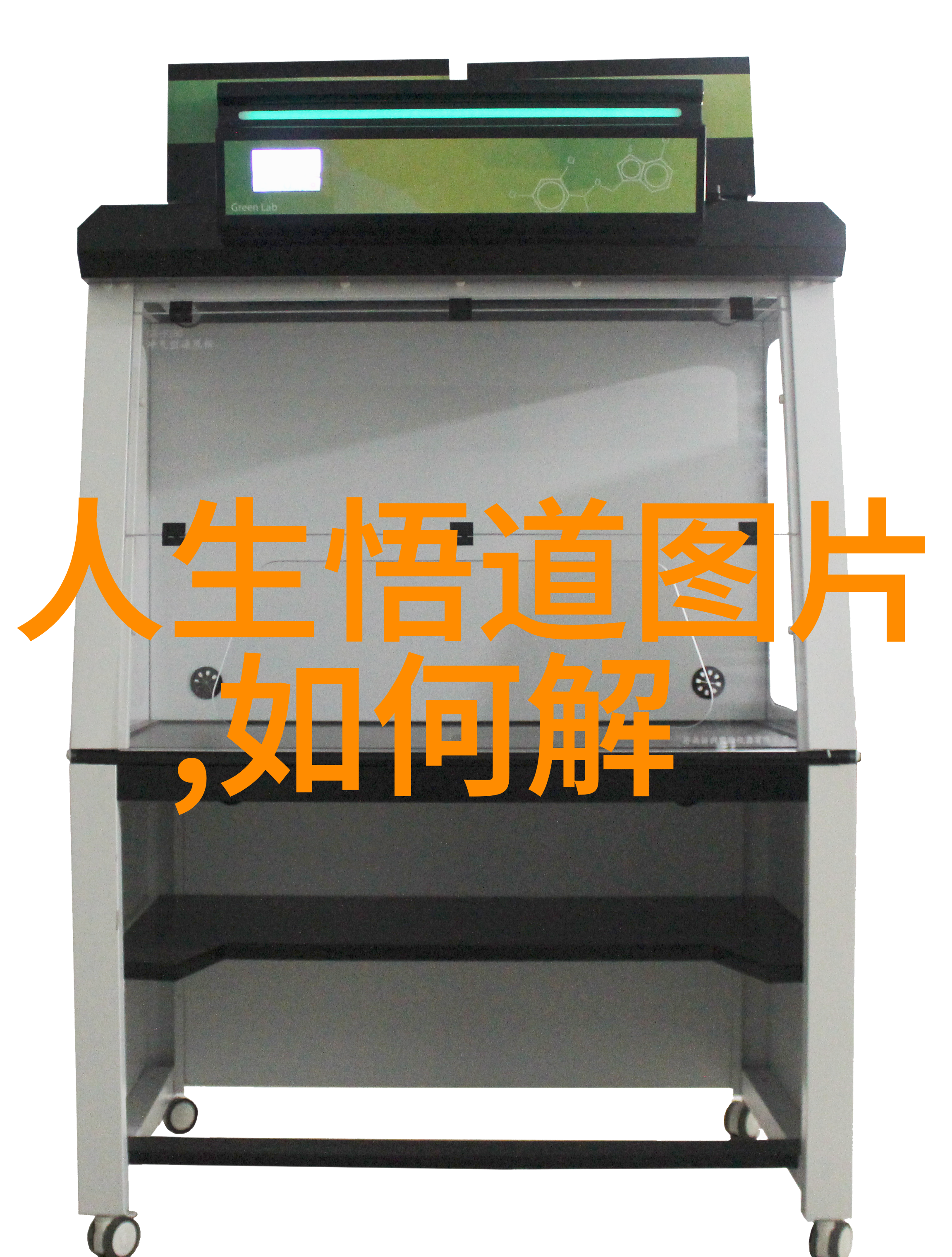 道家文化-道家代表人物与其精髓作品的探究
