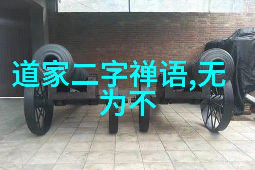 天地不仁以万物為刍狗理解和反思庄子的宇宙观