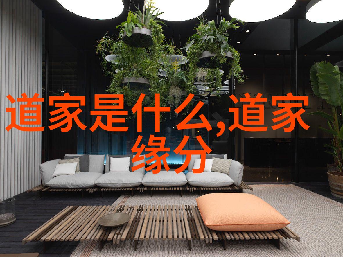 无为而治探索以无为而无所不为智慧的艺术与实践