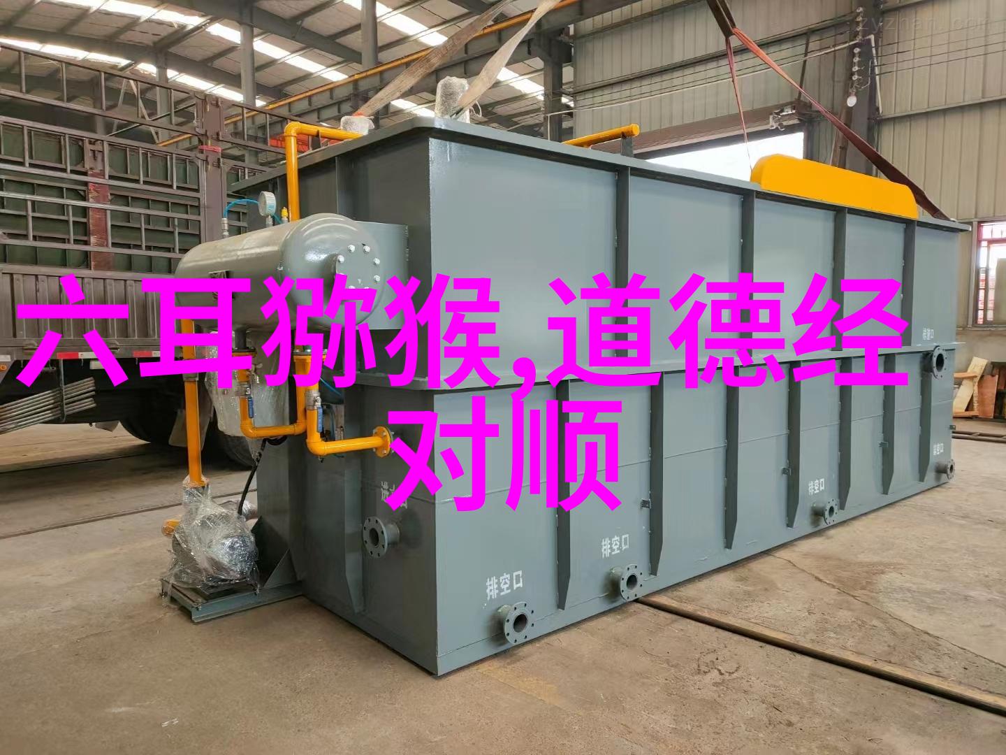 天地不仁自然界的无情与生存法则