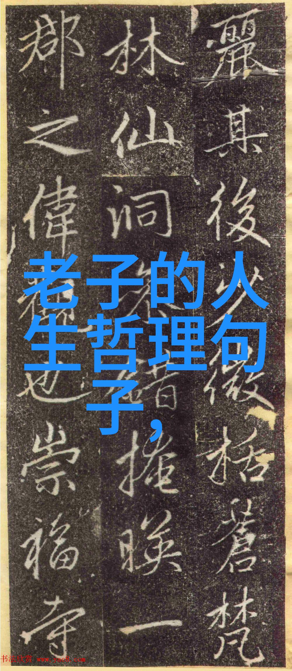 无为之心如何将其转化成为推动社会变革的力量