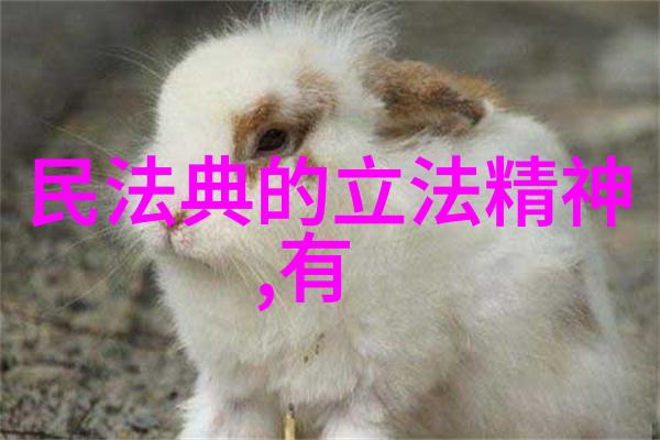 以身作则影响社会的正面力量从个体到集体实施的变化过程分析