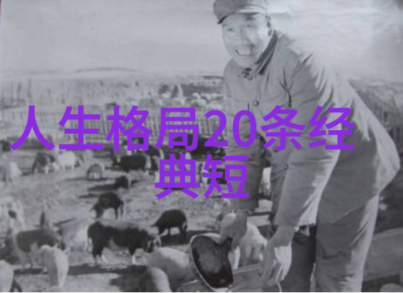 无为无不为无为而有为哲学中的对立观念与存在本身的探索