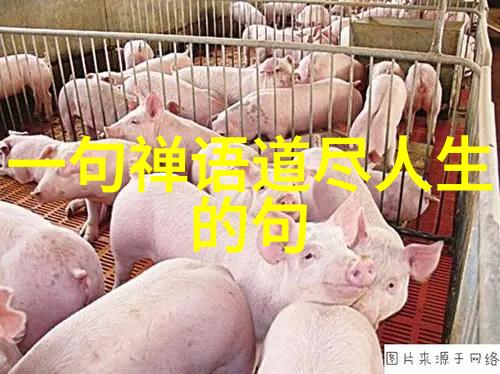 道教祖师爷心灵的指南者与宇宙的智慧之源