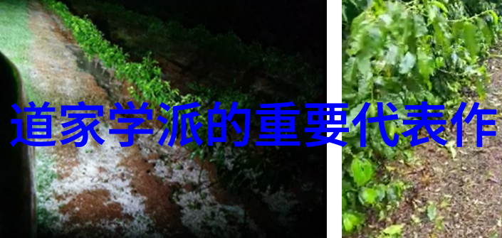静夜思析解唐代诗人李白的星辰之旅
