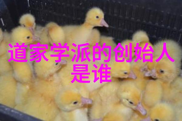 人生的意义在于它的简洁而非复杂