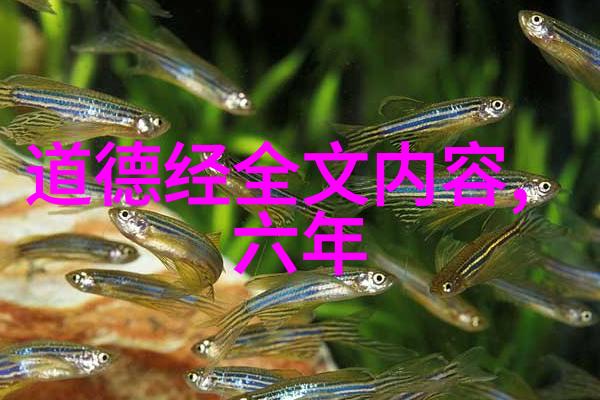 天赋的悟性解读命运之书