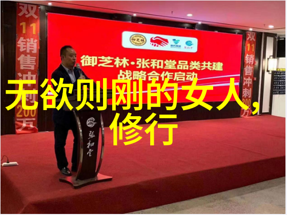 宋代道家代表人物-清风徐来宋代道家思想的深度探索