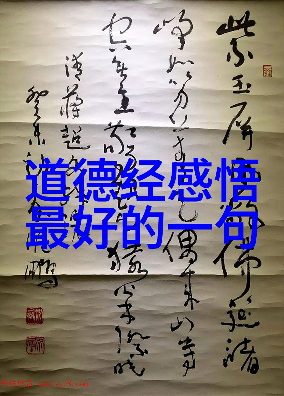 释迦文化中的人物形象与社会影响力分析