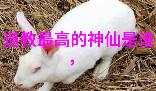道德经的道法自然怎么理解-顺应天道解读道法自然的哲学内涵