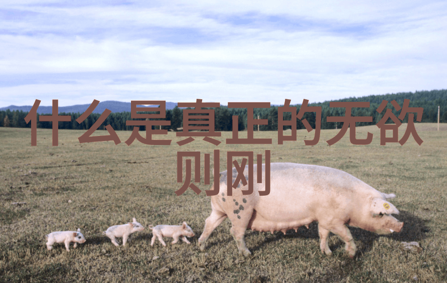 道家学说中无为而治的智慧如何应用于现代社会