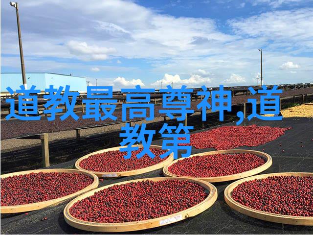 古之欲明吾知之先使不思欲其殆吾善之先因其危夫唯危者民不祥这段话分析一下