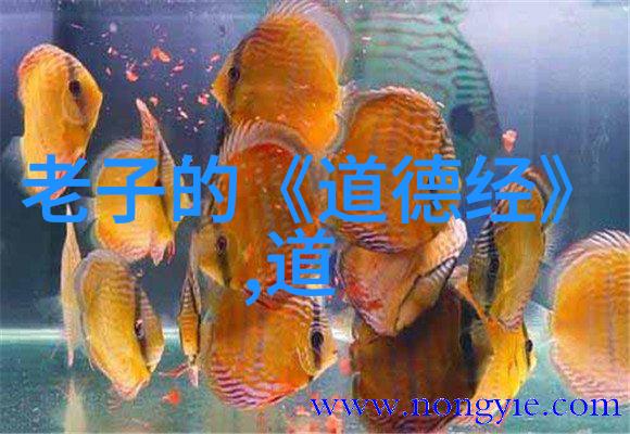 探索现代诗歌之美技巧与鉴赏的艺术