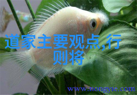 墨香长卷书法家的风流史