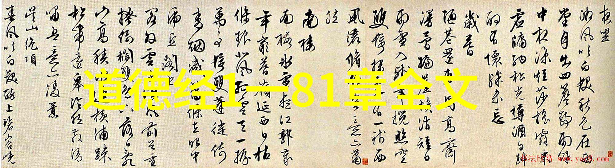 大海之王探索大鹏鸟的神秘世界