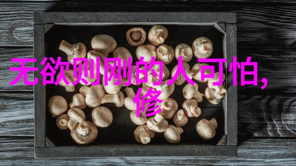 无为则无所不为的智慧深邃哲理中的生活态度