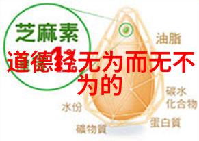 道家思想的创始人是老子中国哲学史上的伟大思想家和政治家