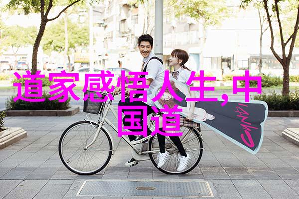道破宋代隐逸与权谋的反差人生