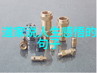 道教四大天师揭秘神秘的智慧与力量