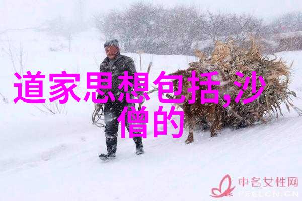 道家智慧古代哲学的现代回响