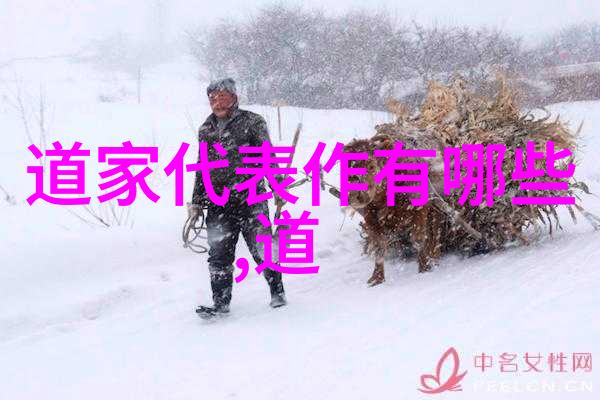 心要与方法解读入门级至高级的修炼文本