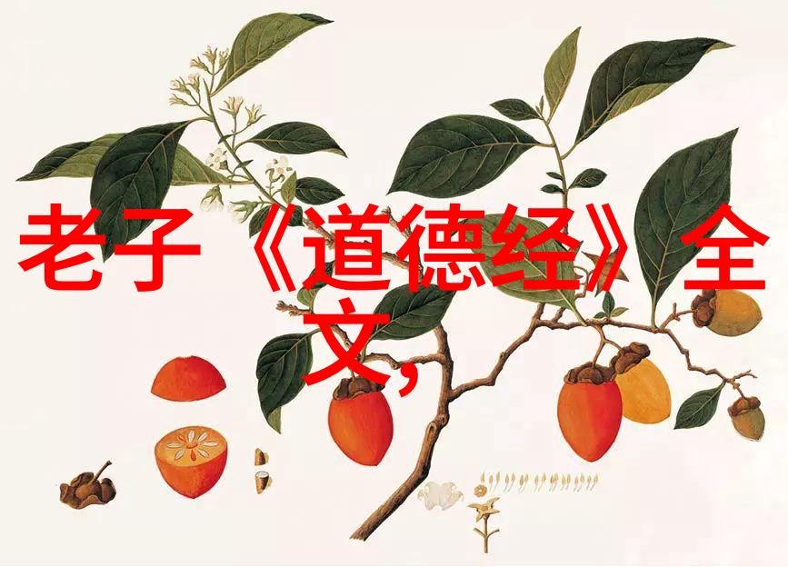 道教大师从云游到游云的奇幻历程