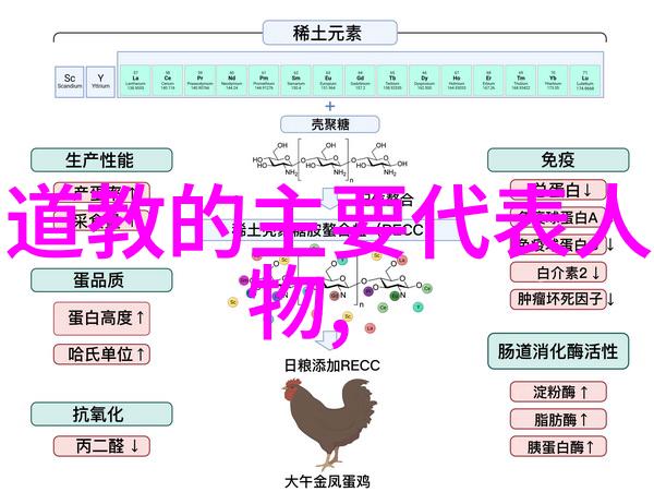 道家思想的代表人物探究从老子到张道陵的哲学传承与社会影响