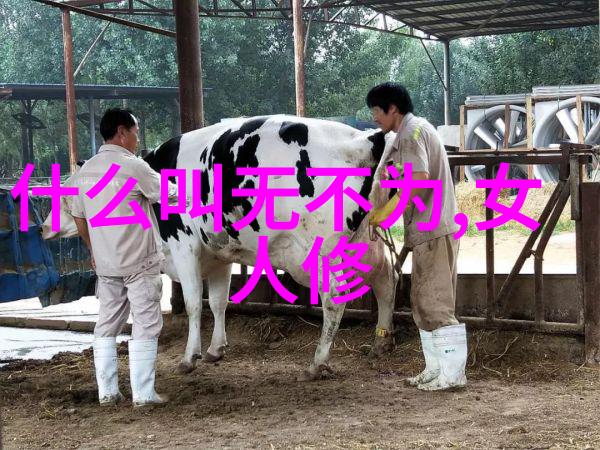 探索中国道教之源黄帝与老子的智慧传承