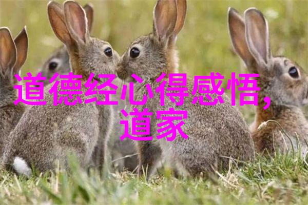 老子的思想与中国传统文化有何深远影响尤其是在儒家文化中的角色