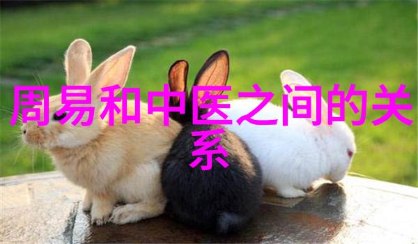 道教代表人揭秘中国古代哲学的先驱者