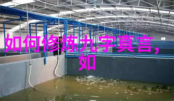 探索道德经的智慧从一章到八十一章的全文解读