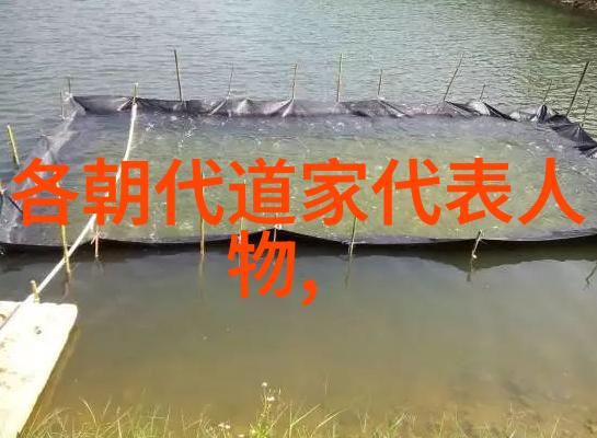 荒漠中的花园修道诗句的反差之美