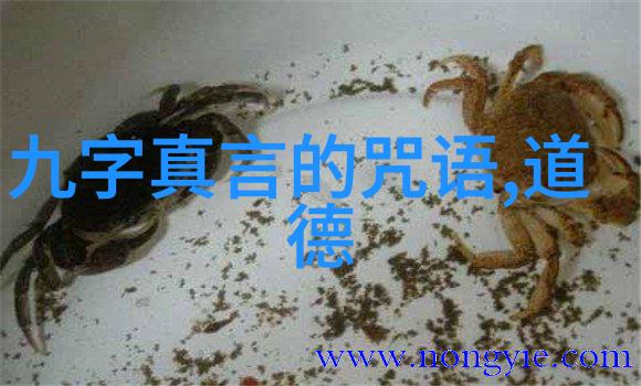 超越功利享受生命本真庄子无为的美学视角