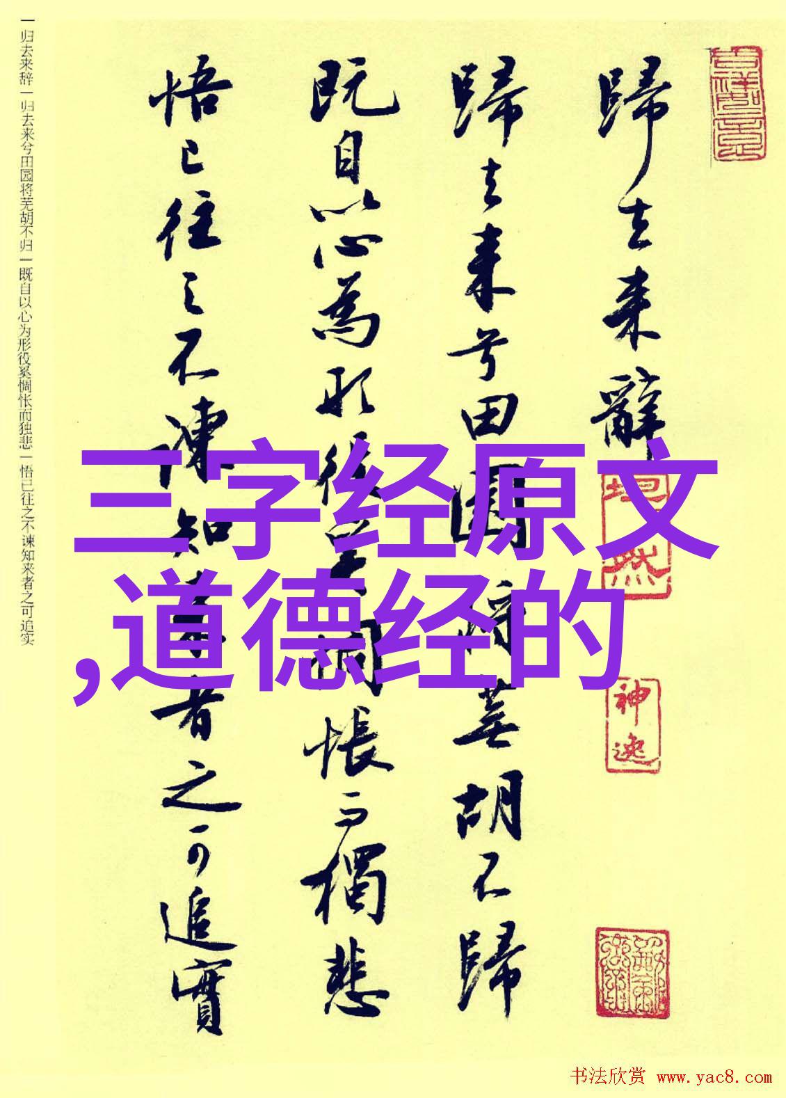 君子之道有所为而有所不为的智慧探索