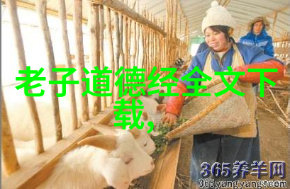 体育老师的引体向上课堂从基础到精英