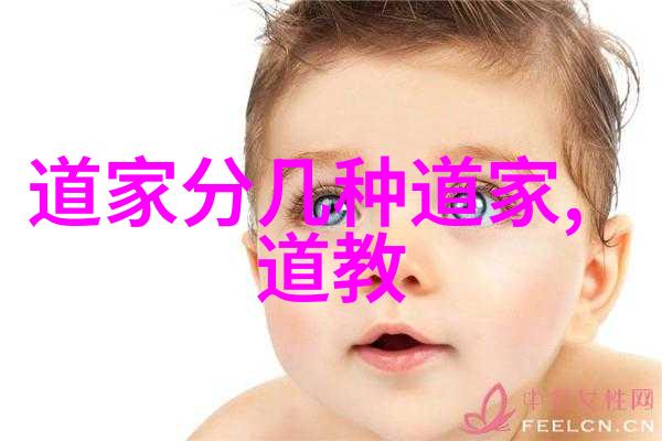 生命观的差异道家自然随缘VS儒家的仁爱原则