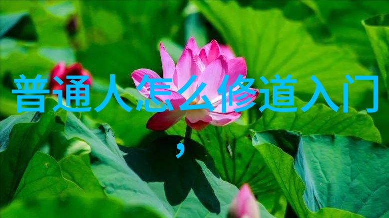 现代道教的旗帜中国近代道家的代表人物探索