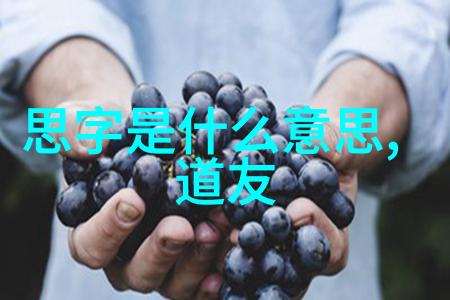 道家智者揭秘古代隐逸与哲学家的生活篇