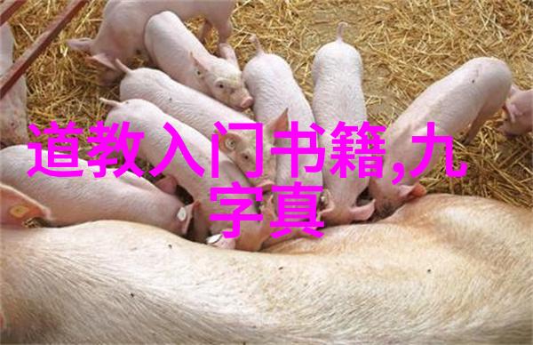 道家的修炼方法有哪些可以帮助我们提升个人素质和内在力量