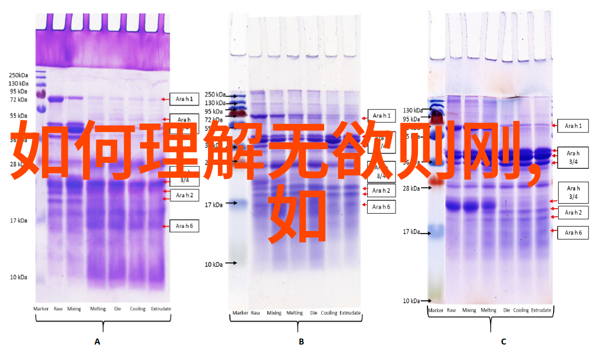 在数字时代如何定义和寻找真正意义上的新代人士来继续发展和传播儒家佛家及其他中国哲学体系特别关注与科技