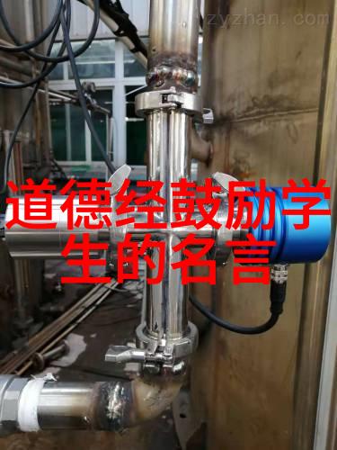 道教智慧的代言人探索历史名人的修炼之路