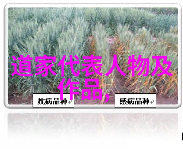 女观音菩萨图片大全美丽的慈悲之光