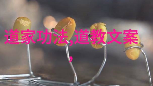 BBW的诱惑与魅力