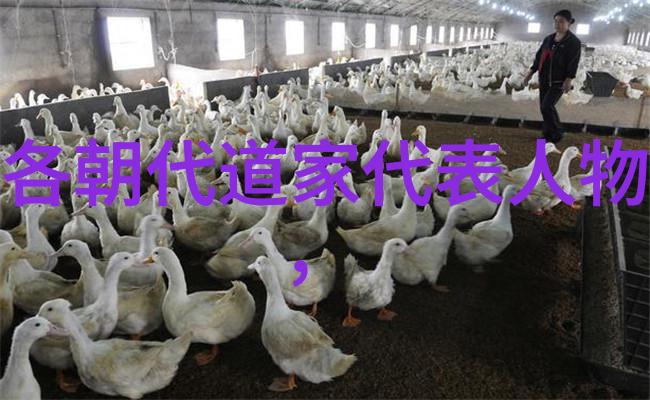 诗经探索咏史怀古揭秘千古名句背后的故事