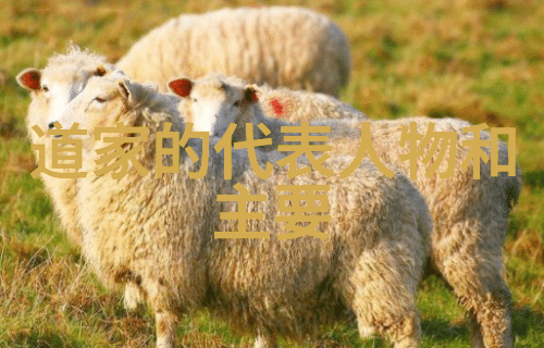 太上老君的三清不包括什么老君不揭秘他的三清里有啥是你想不到的