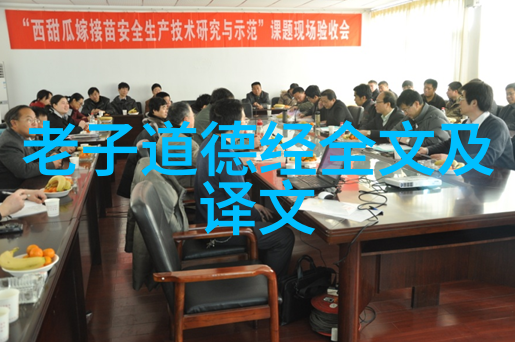 关于强大的道家学说我是如何从无为而治中悟到生活的真谛的