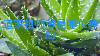 该经典的主要内容是如何传递佛家的智慧的