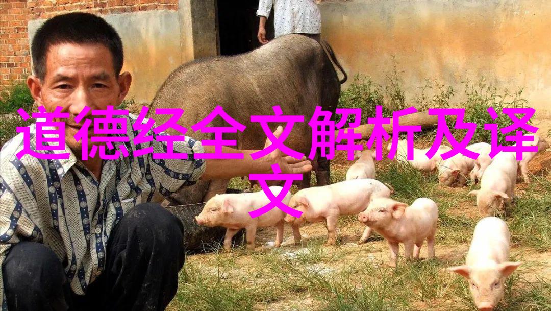 道家思想的代表人物老子与庄子的智慧我是如何学到的
