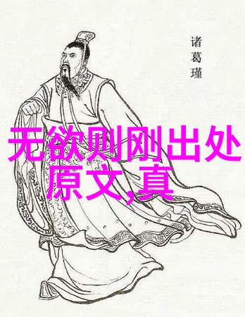从初学者到高手如何在每个级别中提升自己