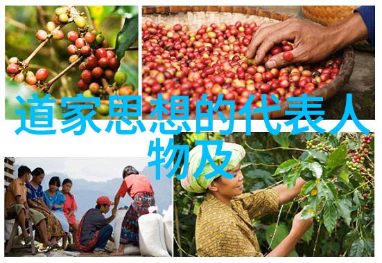 王阳明我是如何从他的知行合一理念中找到生活的真谛